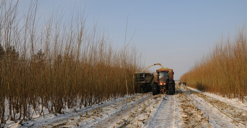 Går din planteavl i pilens retning?